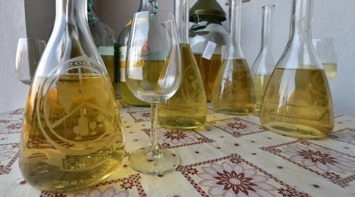 belo vino