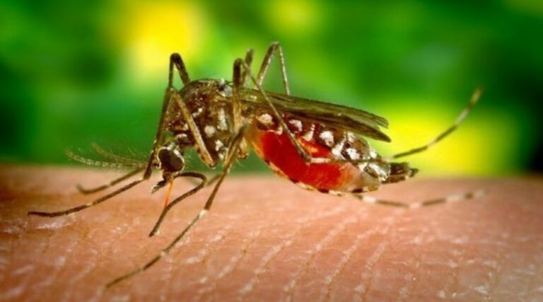 Tretmani protiv komaraca iz vazduha i sa zemlje