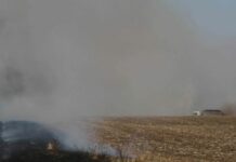 Apel iz Opštine Bački Petrovac: Ne spaljujte biljne ostatke!