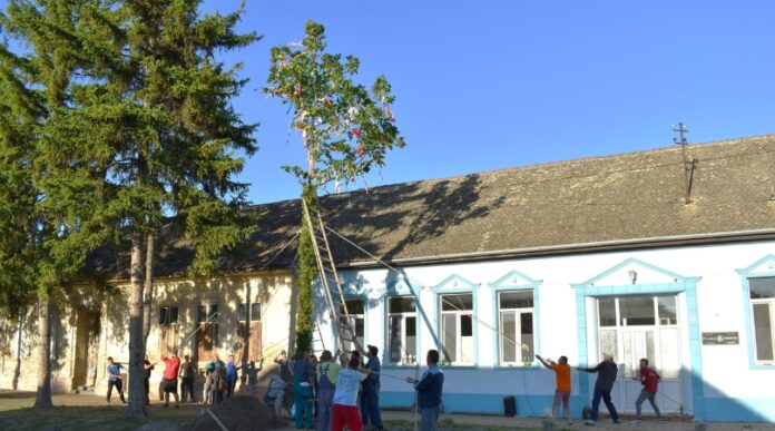 SKUS Pivnica - máj