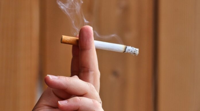 cigarete-duvan-nikotin