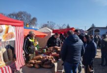 Treći „Kisački kulen“ privukao hiljade posetilaca (VIDEO)