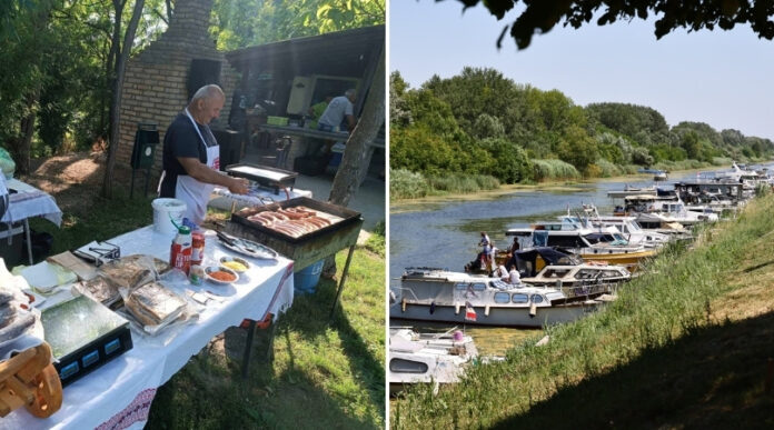 Međunarodna regata Vode Vojvodine