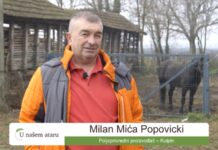 Milan Mića Popovicki