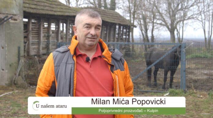 Milan Mića Popovicki Milan Mića Popovicki