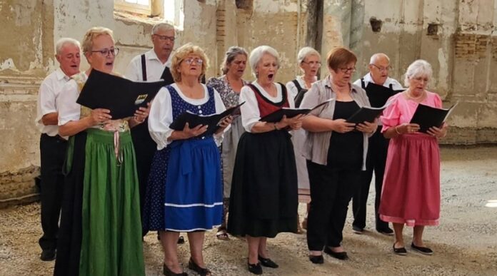 Susret Podunavskih Švaba u Magliću Susret Podunavskih Švaba u Magliću