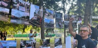 backi petrovac izlozba bap vesti unistena protesti