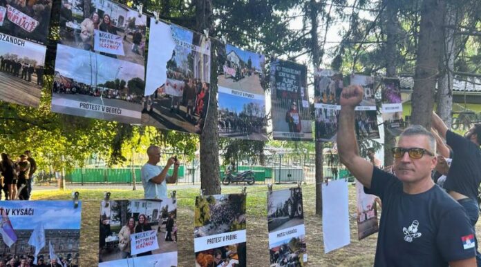backi petrovac izlozba bap vesti unistena protesti