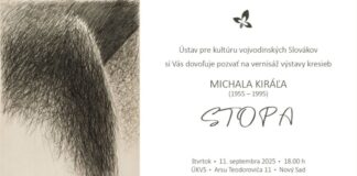 Výstava Michala Kiráľa