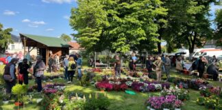 Jarmok kvetin Hložany, bazar cveća Gložan