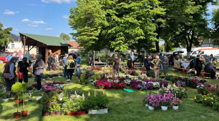 Jarmok kvetin Hložany, bazar cveća Gložan Jarmok kvetin Hložany, bazar cveća Gložan