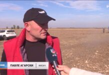 Šta kažu poljoprivrednici iz Kisača o ovogodišnjoj setvenoj sezoni (VIDEO) Pavle Agarski
