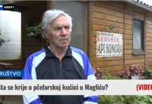 Šta se krije u pčelarskoj kućici u Magliću? (VIDEO)