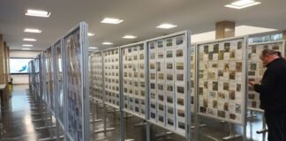 Održana međunarodna filatelistička izložba TimFilEx 2025 u Temišvaru