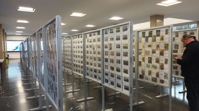 Održana međunarodna filatelistička izložba TimFilEx 2025 u Temišvaru Održana međunarodna filatelistička izložba TimFilEx 2025 u Temišvaru