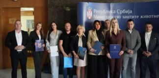 Projekat pošumljavanja