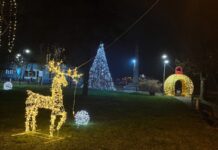 Bački Petrovac, novogodišnja rasveta, zima, noć, božić, nova godina