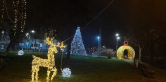 Bački Petrovac, novogodišnja rasveta, zima, noć, božić, nova godina