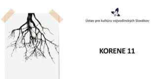 Korene 11, vystava