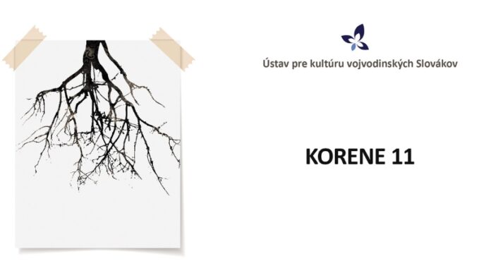 Korene 11, vystava Korene 11, vystava