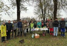 Zasađena hrastova mini-šuma u Bačkom Petrovcu Sadnja hrastova, Ekološki pokret Zeleni Petrovac