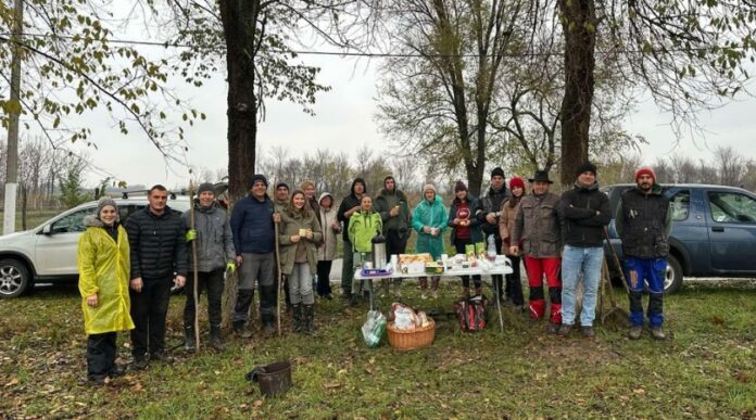 Sadnja hrastova, Ekološki pokret Zeleni Petrovac Sadnja hrastova, Ekološki pokret Zeleni Petrovac