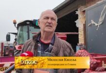 Miloslav Kiselja