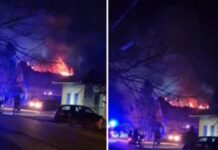 Požar u Kulpinu