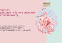 Samostatná výstava obrazov Anny Babiakovej z Kulpína Vystava obrazov Anny Babiakovej