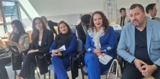 Danijela Bogdanović, naučna konferencija