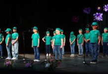 Humanitarni koncert u Bačkom Petrovcu