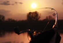 Carp spod kup Maglić, pecanje maglić, pecanje