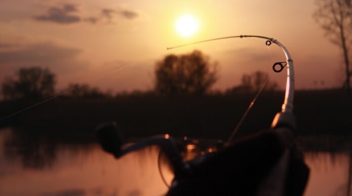 Carp Spod Kup Maglić Carp spod kup Maglić, pecanje maglić, pecanje
