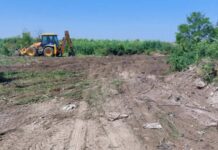 MZ Kisač apeluje na meštane da baštenski otpad odlažu na predviđeno mesto Deponija u Kisaču