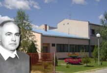 Milorad Miki Bogdanović