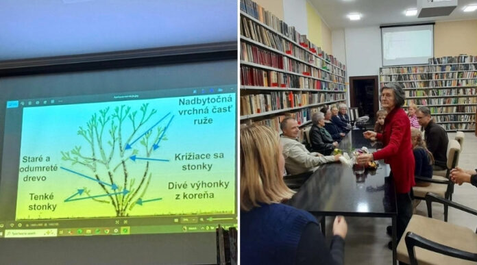 Prednaška o ružiach Prednaška o ružiach