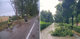 Olujno nevreme Bački Petrovac, Gložan Maglić