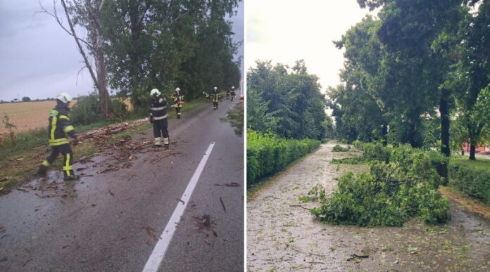 Olujno nevreme Bački Petrovac, Gložan Maglić Olujno nevreme Bački Petrovac, Gložan Maglić