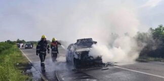 Izgoreo automobil između Kisača i Stepanovićeva