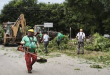 Uredjenje zelenih površina 072026 JKP Komunalac