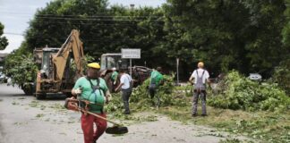 Uredjenje zelenih površina 072026 JKP Komunalac