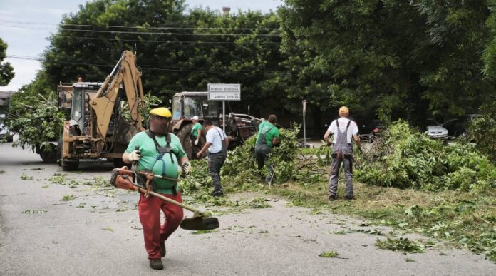 Uredjenje zelenih površina 072026 JKP Komunalac Uredjenje zelenih površina 072026 JKP Komunalac