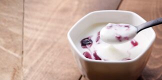 smrznuti jogurt